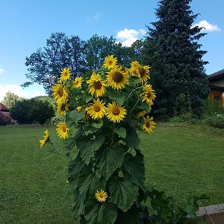 Haus Zur Sonne